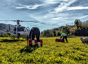 Helicopter - Cargo Transport